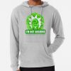 ssrcolightweight hoodiemensheather greyfrontsquare productx1000 bgf8f8f8 1 - Rick And Morty Merch